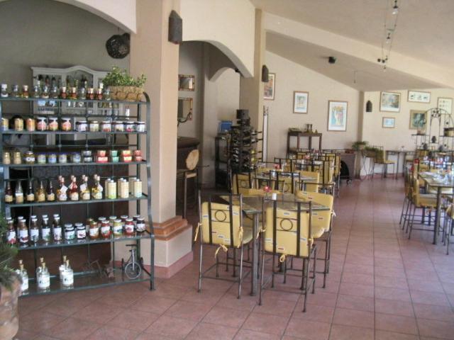 Hotel La Posada Apizaco Extérieur photo
