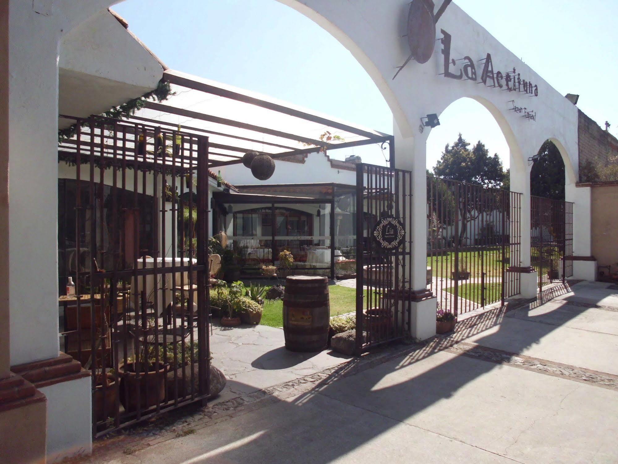 Hotel La Posada Apizaco Extérieur photo